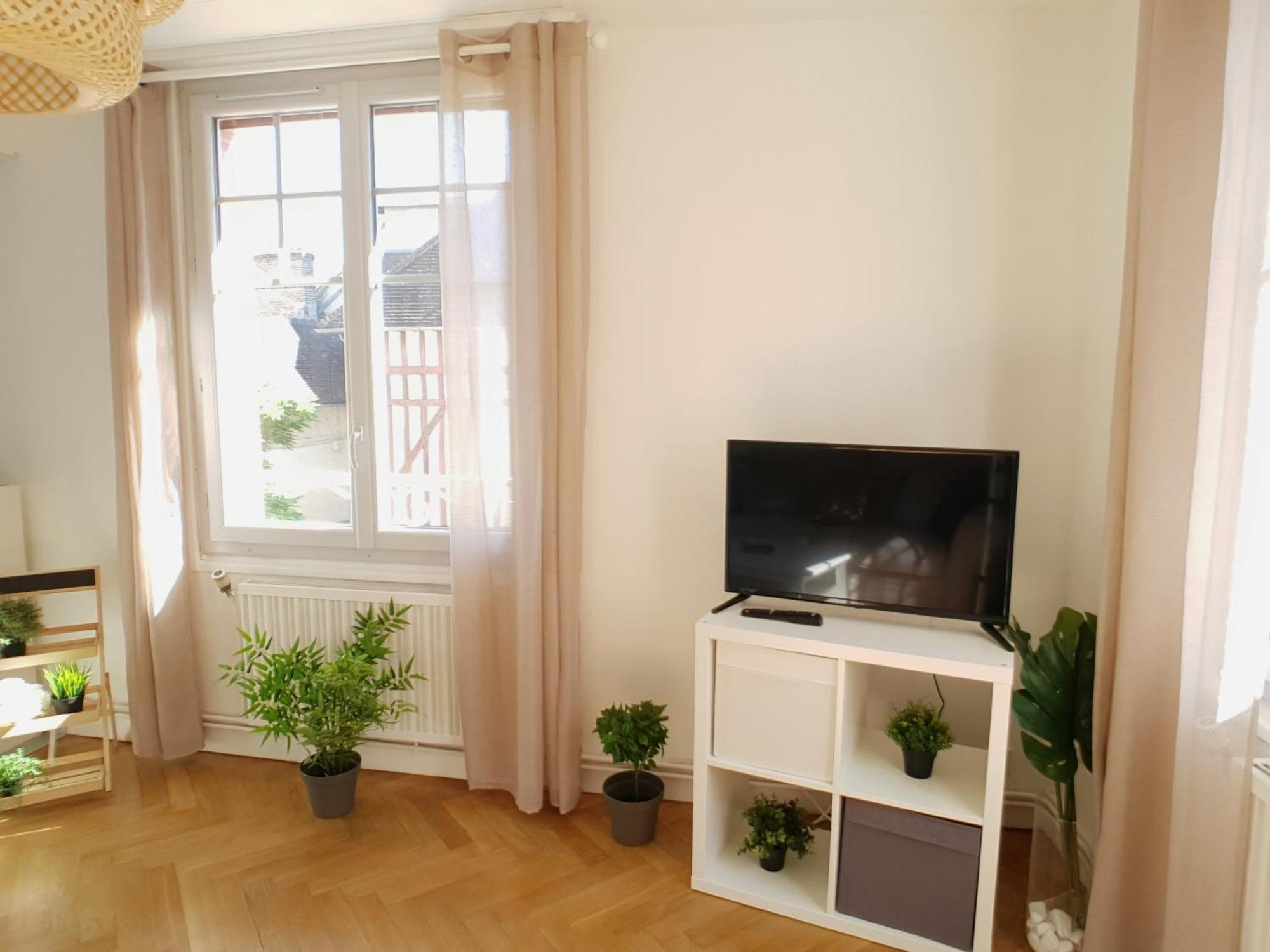 Appartement Hyper Centre Joigny, Tres Lumineux