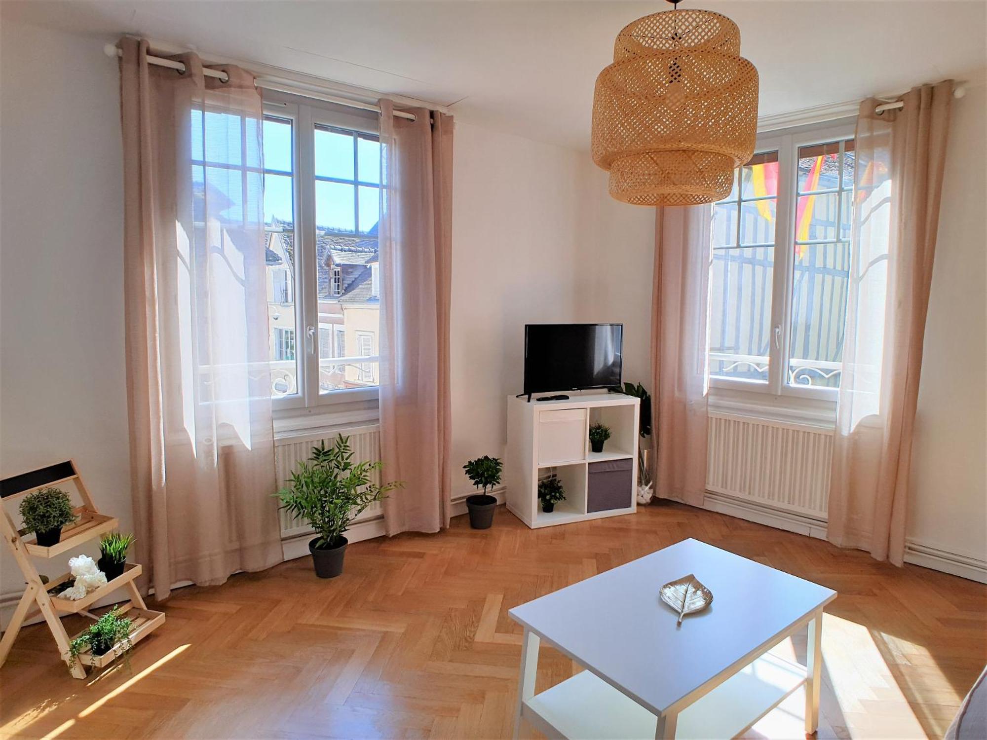 Appartement Hyper Centre Joigny, Tres Lumineux *